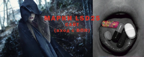 дмт Елабуга