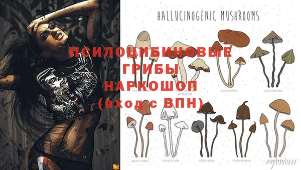 дмт Елабуга